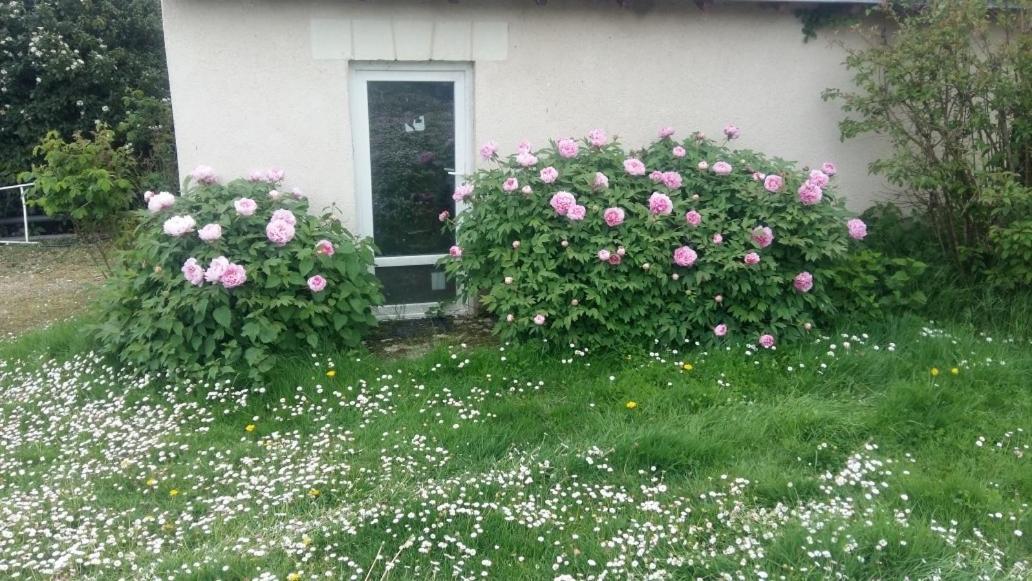 Chambre D'Hote Monthodon Εξωτερικό φωτογραφία